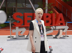 Sporazum o zaštiti i podsticanju ulaganja između Srbije i Japana u septembru