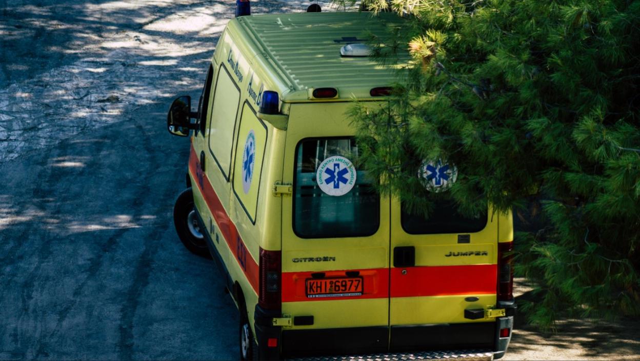 Riba pauk u Nei Poriju: Važno upozorenje za turiste
