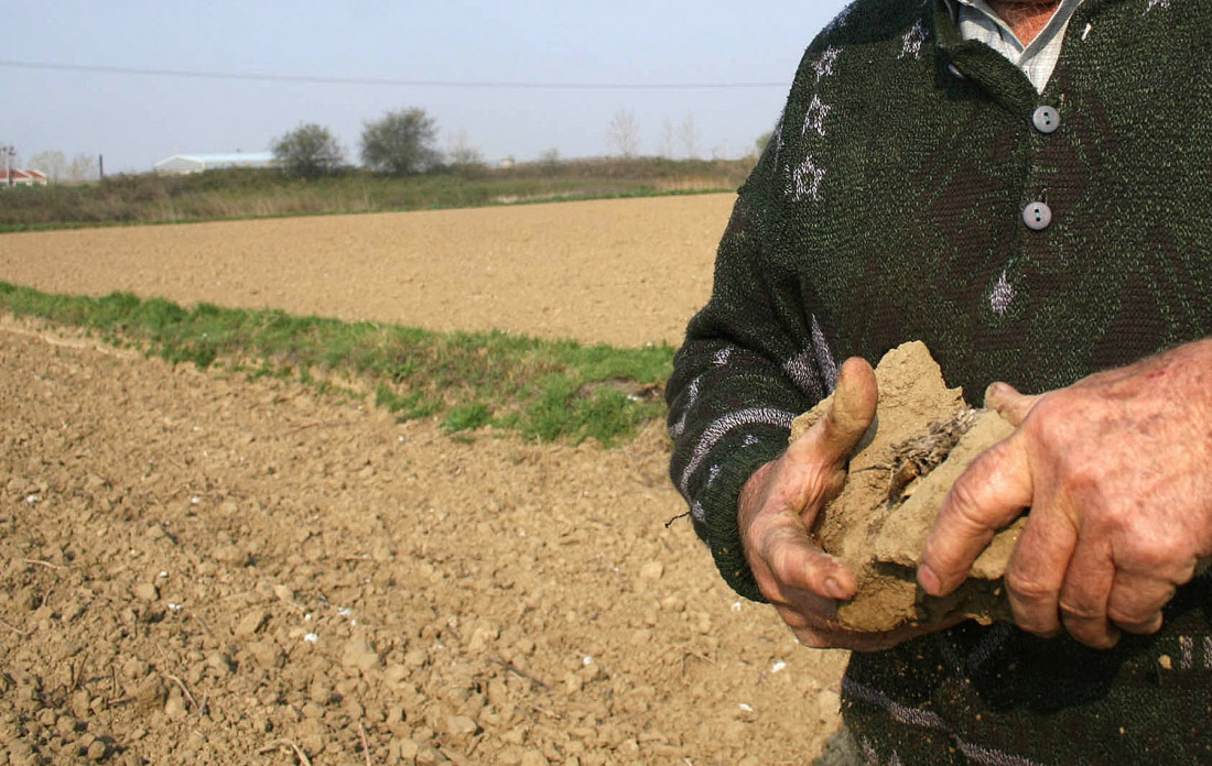 Jug i istok Srbije prelaze u polusušnu klimatsku zonu