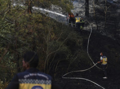 U šumskom požaru u blizini Izmira izgorelo sve osim malog maslinjaka