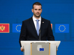 Spajić i šeik Al Nahjan razgovarali o ekonomskoj saradnji Crne Gore i UAE