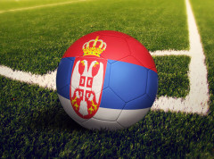UEFA prihvatila zahtev Srbije, utakmica protiv Albanije biće odigrana u Leskovcu