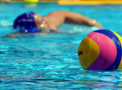 Regionalna liga u vaterpolu počinje u danas utakmicom između Novog Beograda i Zvezde