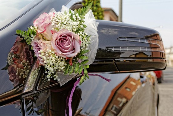 Pauk odnio mladenački auto u Srbiji, oglasio se vlasnik (FOTO)
