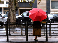 U Srbiji danas lokalne nepogode sa gradom i jakim vetrom