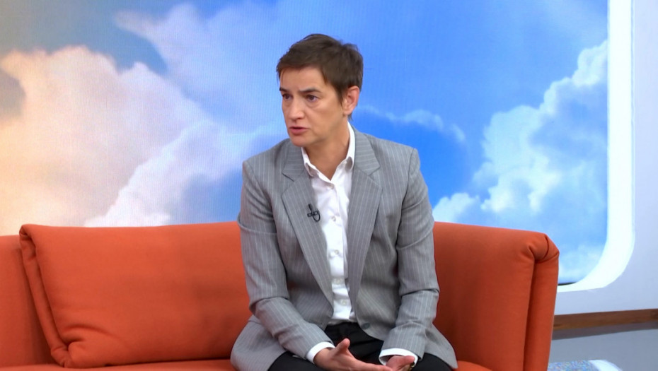 Brnabić o kritikama austrijskog evroparlamentarca