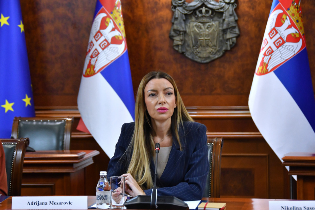 Mesarović: Srbija ujedinjena protiv blokada
