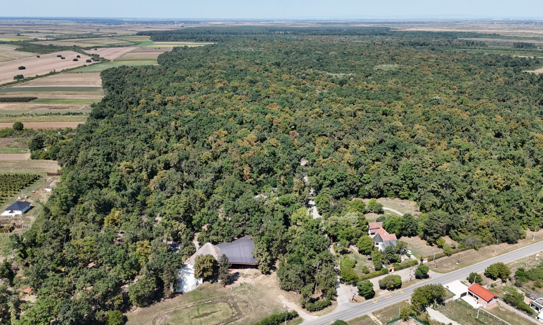 Ministar Glamočić o projektu pošumljavanja Forest Invest