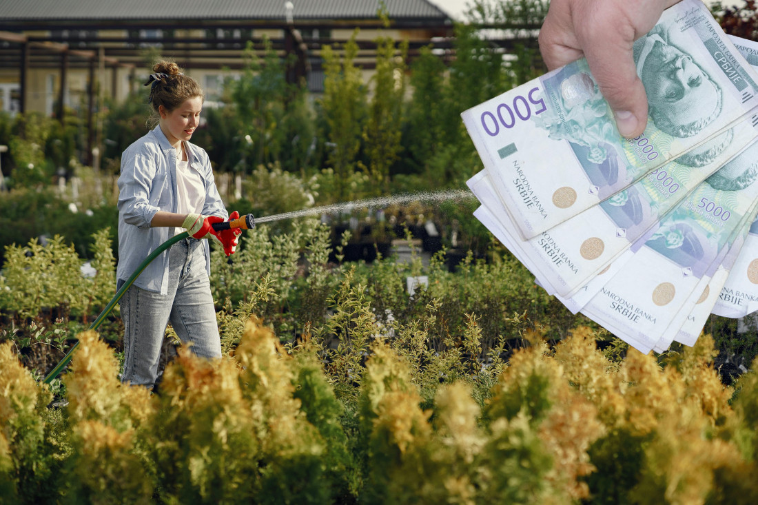 Od biljke gloga može da se zaradi milion