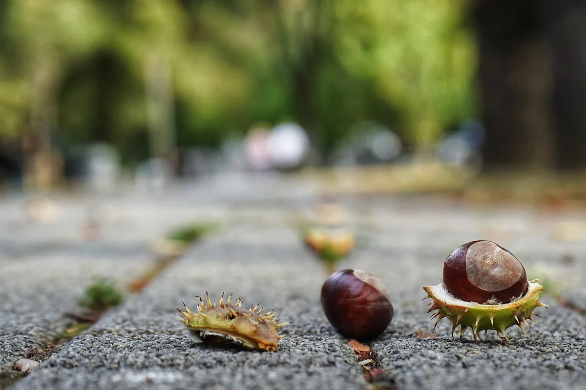 Vremenske Promene i Očekivanja