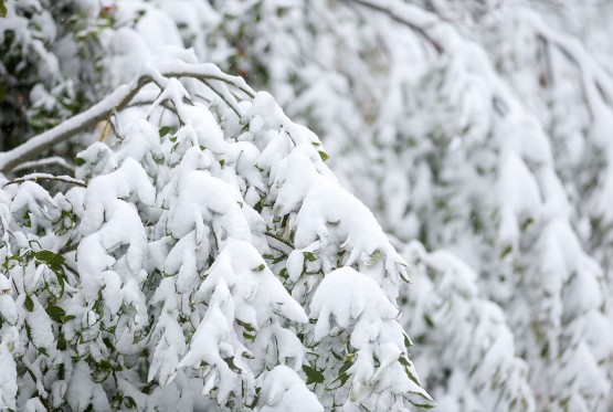 DHMZ objavio prognozu za naredna tri mjeseca