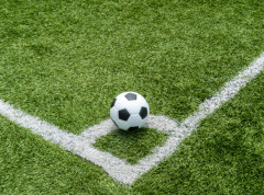 Fudbaleri Crvene zvezde gostuju Budućnosti u Dobanovcima u osmini finala Kupa Srbije