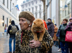Domaća mačka nije stigla u Evropu tokom Neolita, već kasnije iz Afrike