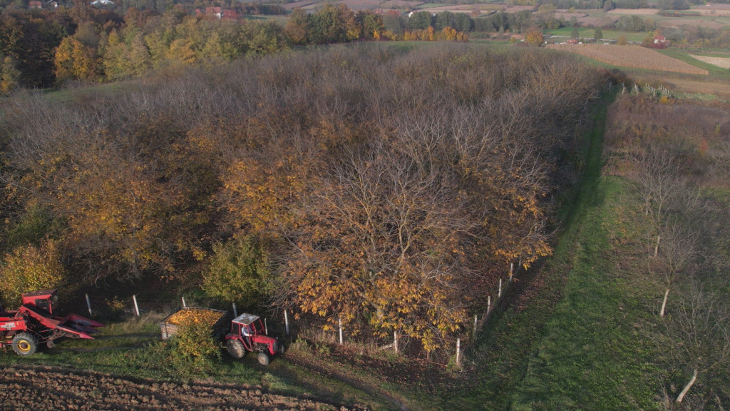 Najmodernije u Senti! Ovo se traži na tržištu