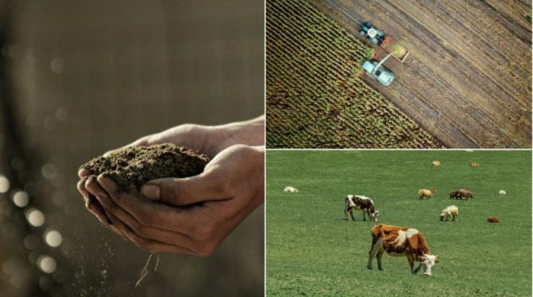 Tri ključa programa za selo: Isplaćeno 97,6 milijardi dinara