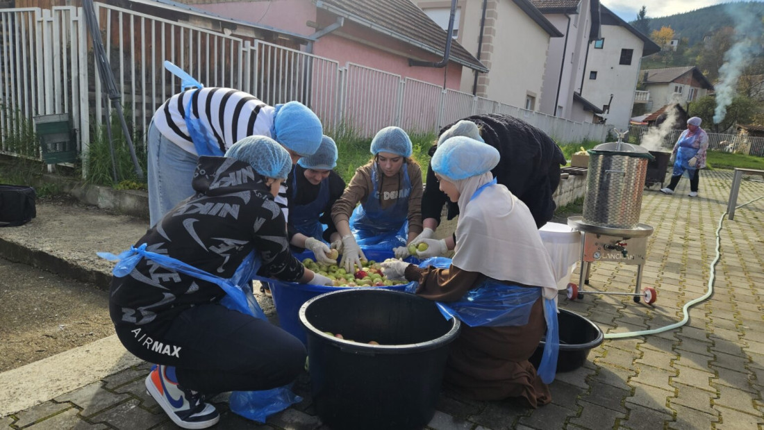Brodarevo učenička zadruga