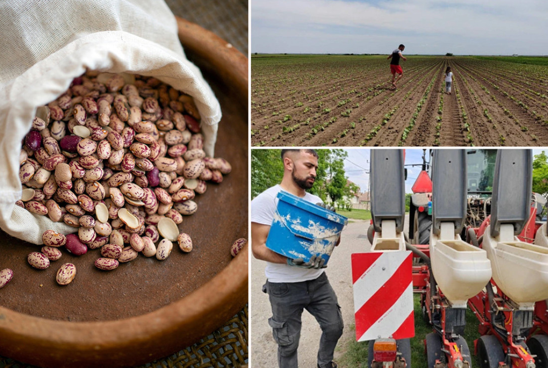 Mladi poljoprivrednik iz Đurđeva pravi neobične namaze