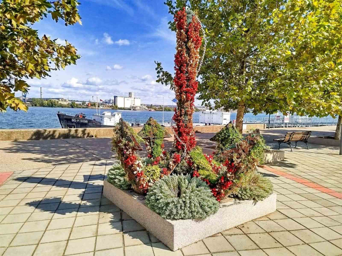 Posađeno preko 30.000 cvetnica u Kladovu