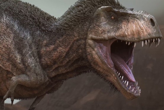 Nevjerovatno otkriće ogromnog broja fosila dinosaurusa u Transilvaniji