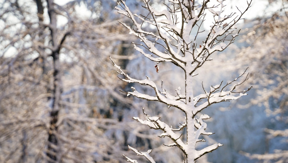 Čovek iz Rusije preživeo tri dana u tajgi