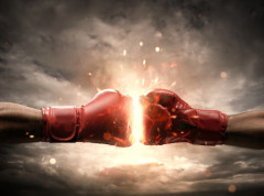 Memić nudi revanš Nikoliću u profesionalnom ringu