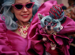 U Italiji 2024. oko 10 miliona domaćinstava imalo psa ili mačku