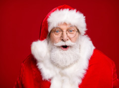 Deda Mrazovi i vilenjaci opljačkali prodavnicu u Montrealu