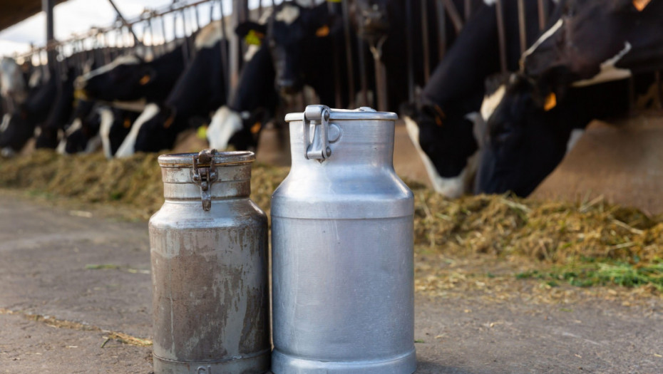 UHT mleko bez mleka u prahu