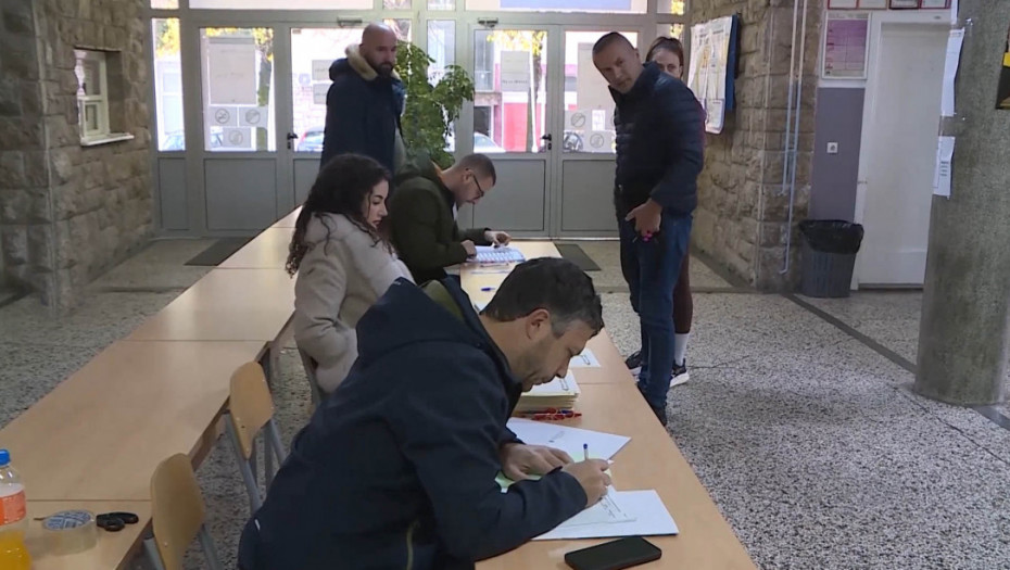 SNSD nezadovoljan odlukom Suda BiH o izborima