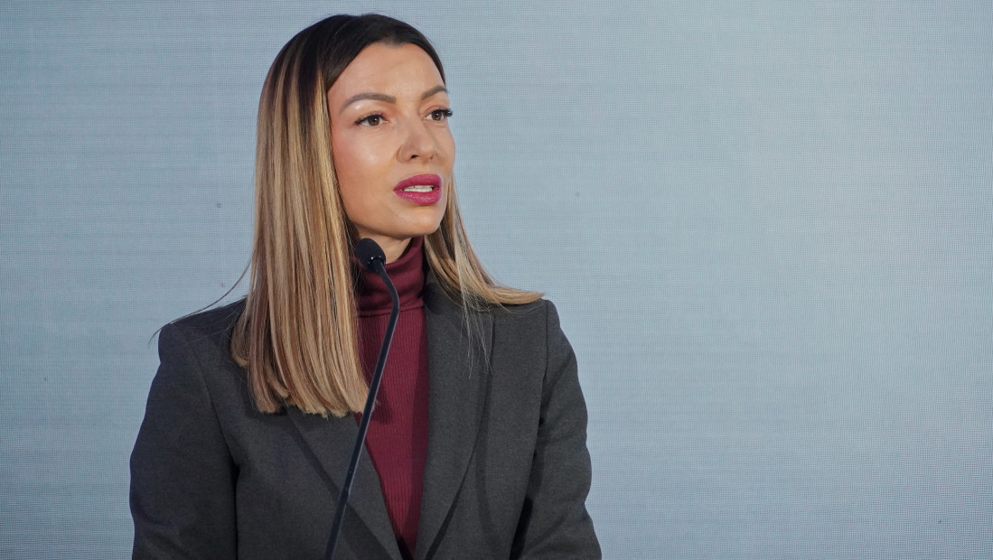 Mesarović u poseti Skoplju: Biznis forum za saradnju