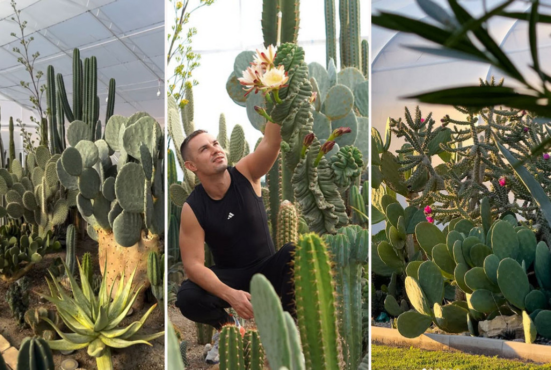 Zavirite u prvu mediteransku botaničku baštu u Srbiji!