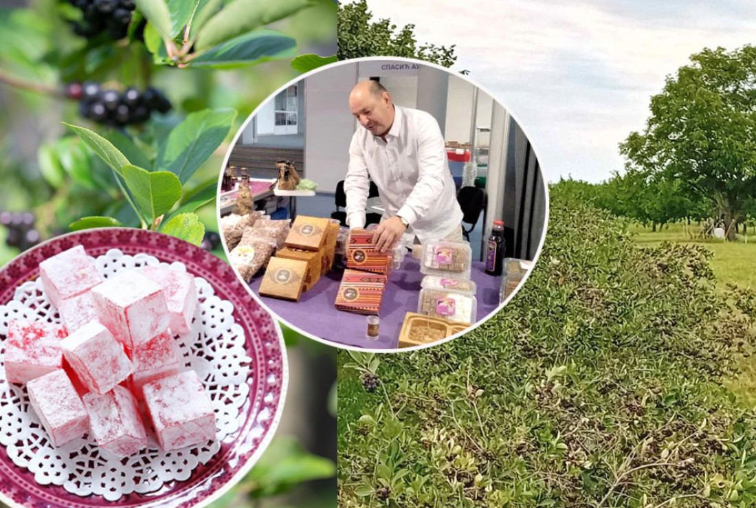 Ranko zaludeo sladokusce, a pomaže mu Turčin