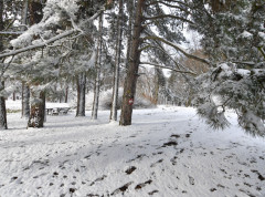 RHMZ upozorava na stvaranje snežnog pokrivača i ledenu kišu