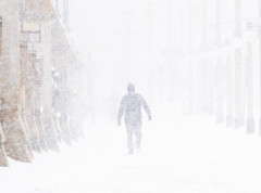 Deci u turskom gradu u kojem godinama nije bilo snežnih padavina kamionima dovezli sneg