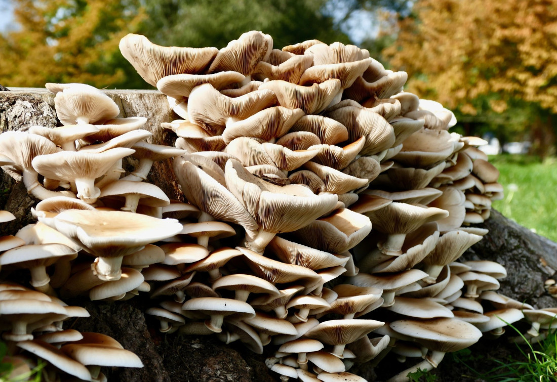 Jasna i Slavko grabe ka uspehu