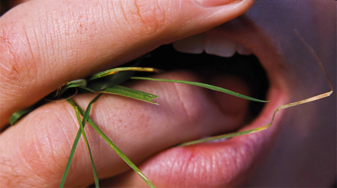 Sisanje prstiju u „Orkanskim visovima“ izazvalo haos