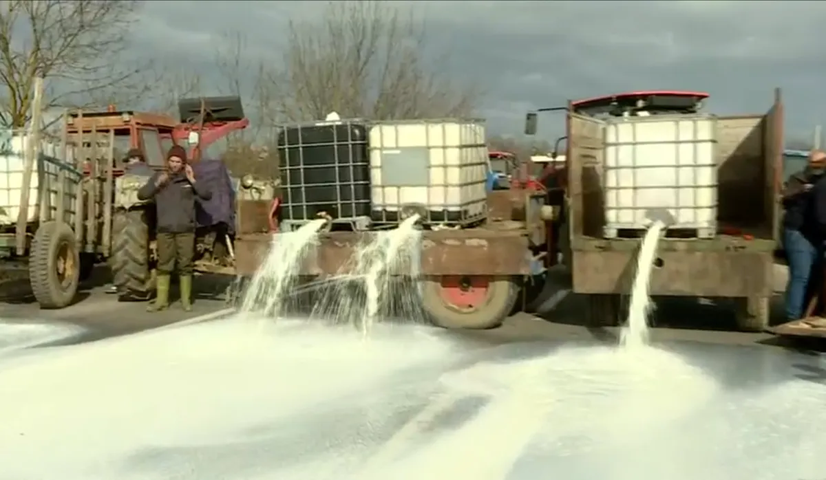 Udruženje proizvođača mleka tražiće smenjivanje v.d. direktora Uprave za veterinu zbog uvoza