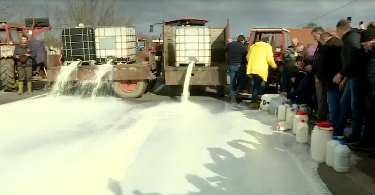 Proizvođači mleka Srbije: Devalvirani podsticaji u mlečnom govedarstvu, potrebno ograničiti uvoz