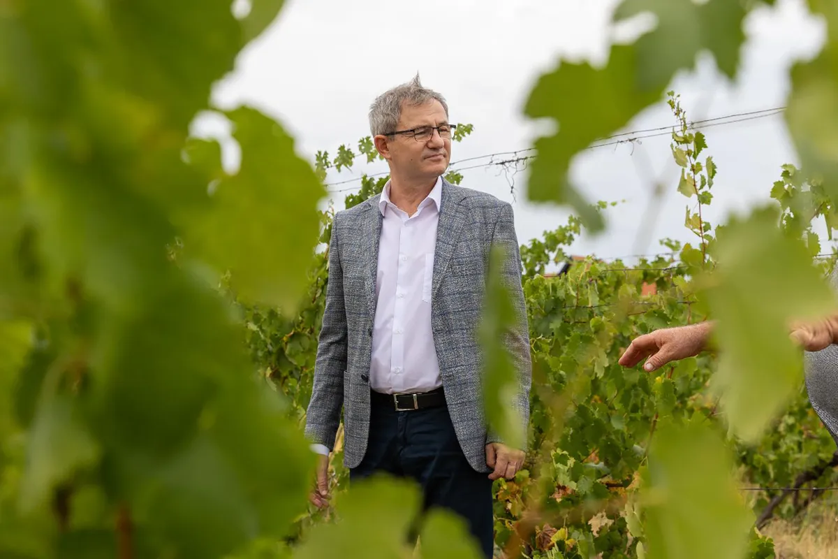 Ministarstvo poljoprivrede: Usaglašeni sertifikati za izvoz goveđeg i ovčijeg mesa u Tunis