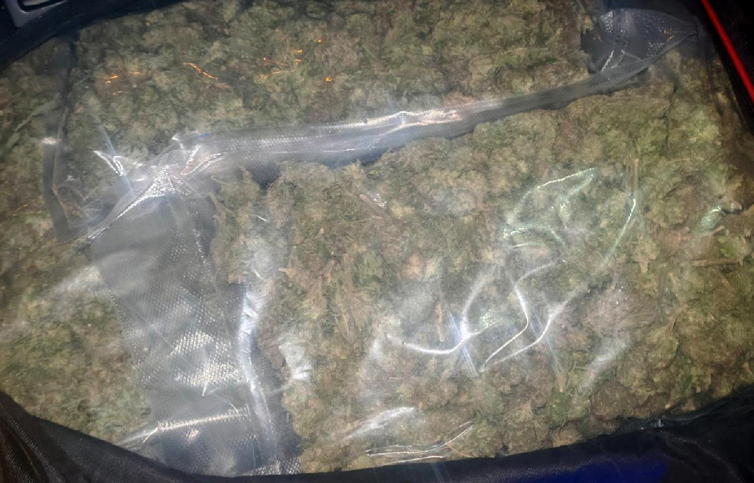 Mediji: Na placu firme u suvlasništvu Dodikovog šefa obezbeđenja pronađeno 138 kilograma marihuane – Region