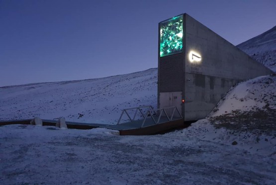 Trezor sudnjeg dana: Šta krije bunker koji čuva budućnost čovječanstva? (VIDEO)