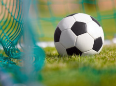 Fudbaleri Radničkog iz Niša pobedili Napredak u 23. kolu Supelige Srbije