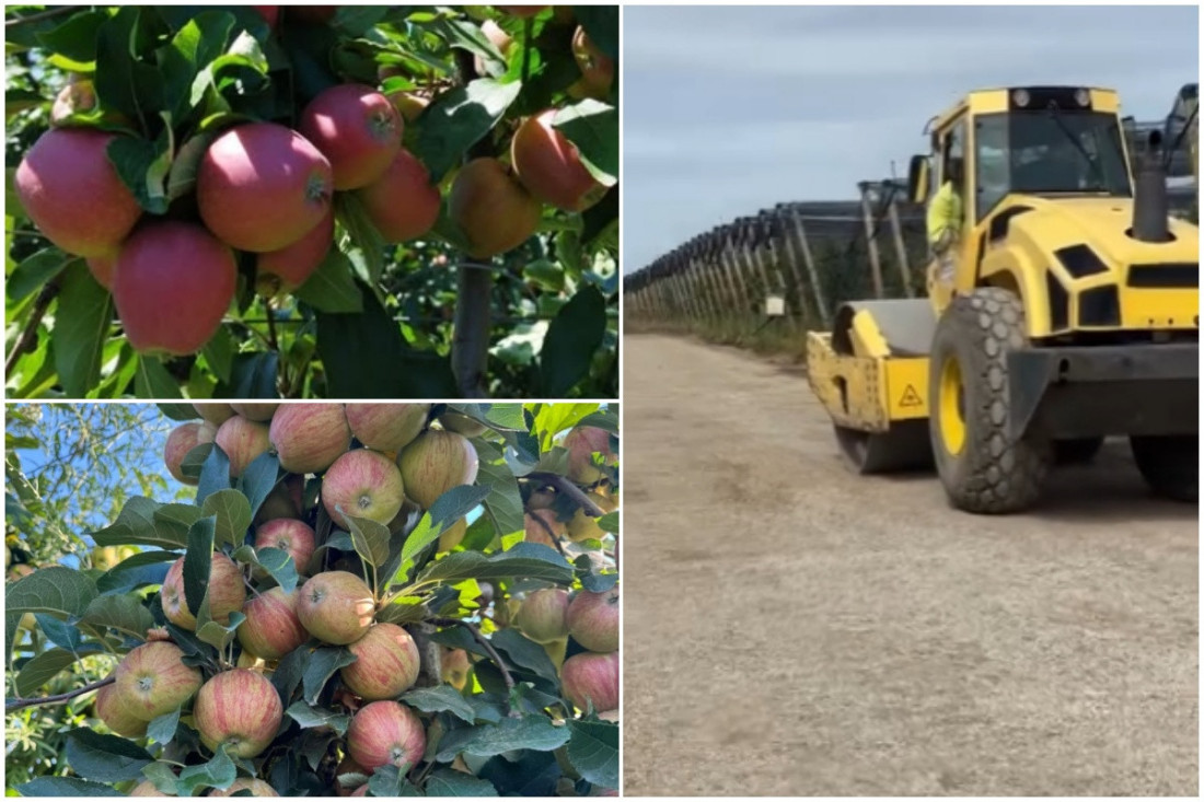 Napalci beru srpsku jabuku: Ovo su sezonci sa najveće plantaže u Srbiji