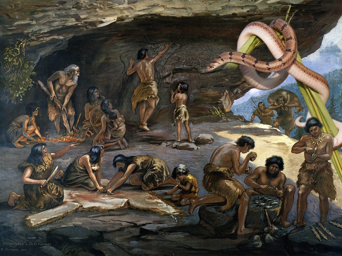 Kako je cela zmija završila u izmetu praistorijskog čoveka