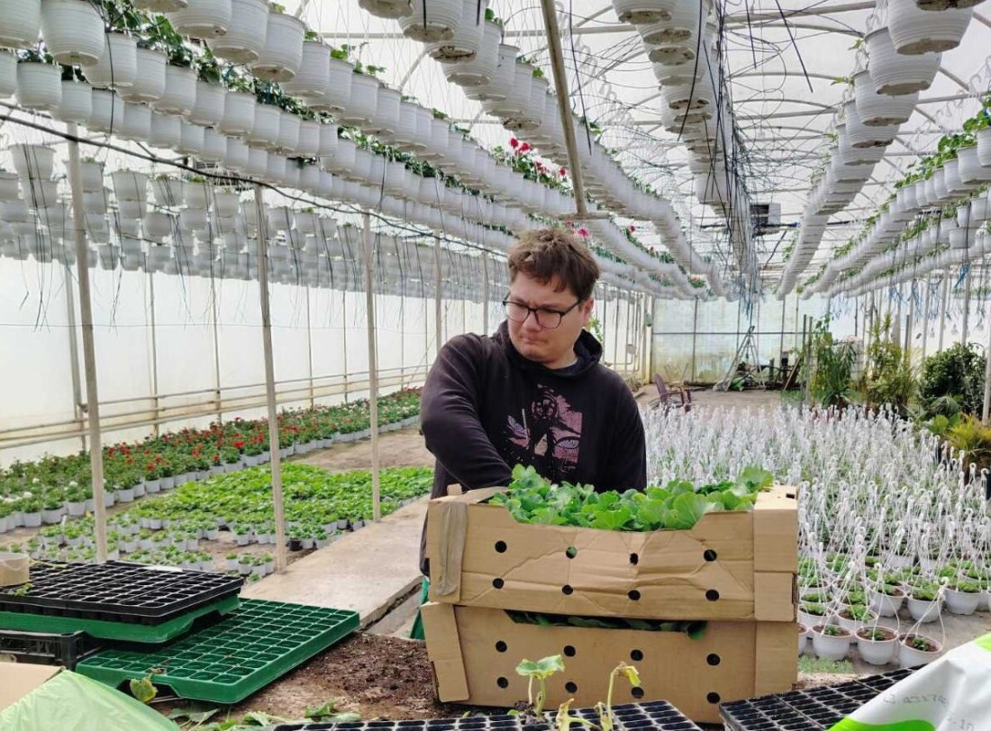 Porodica iz Kucure osvojila tržište cvećem