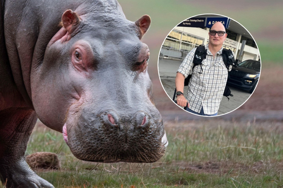 Preživeo 40 ugriza nilskog konja