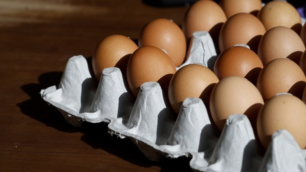 Više od pola miliona jaja iz Srbije uništeno u Severnoj Makedoniji – Ekonomija