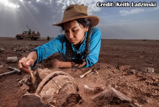 Otkriven dinosaurus star 95 miliona godina (FOTO, VIDEO)