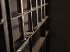 Čovek uhapšen nakon što se popeo u terarijum patuljastog nilskog konja u Bangkoku