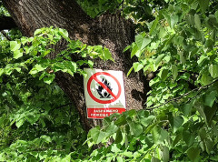 Šume pokrivaju 39,01 odsto teritorije Srbije, među najvažnijim prirodnim resursima